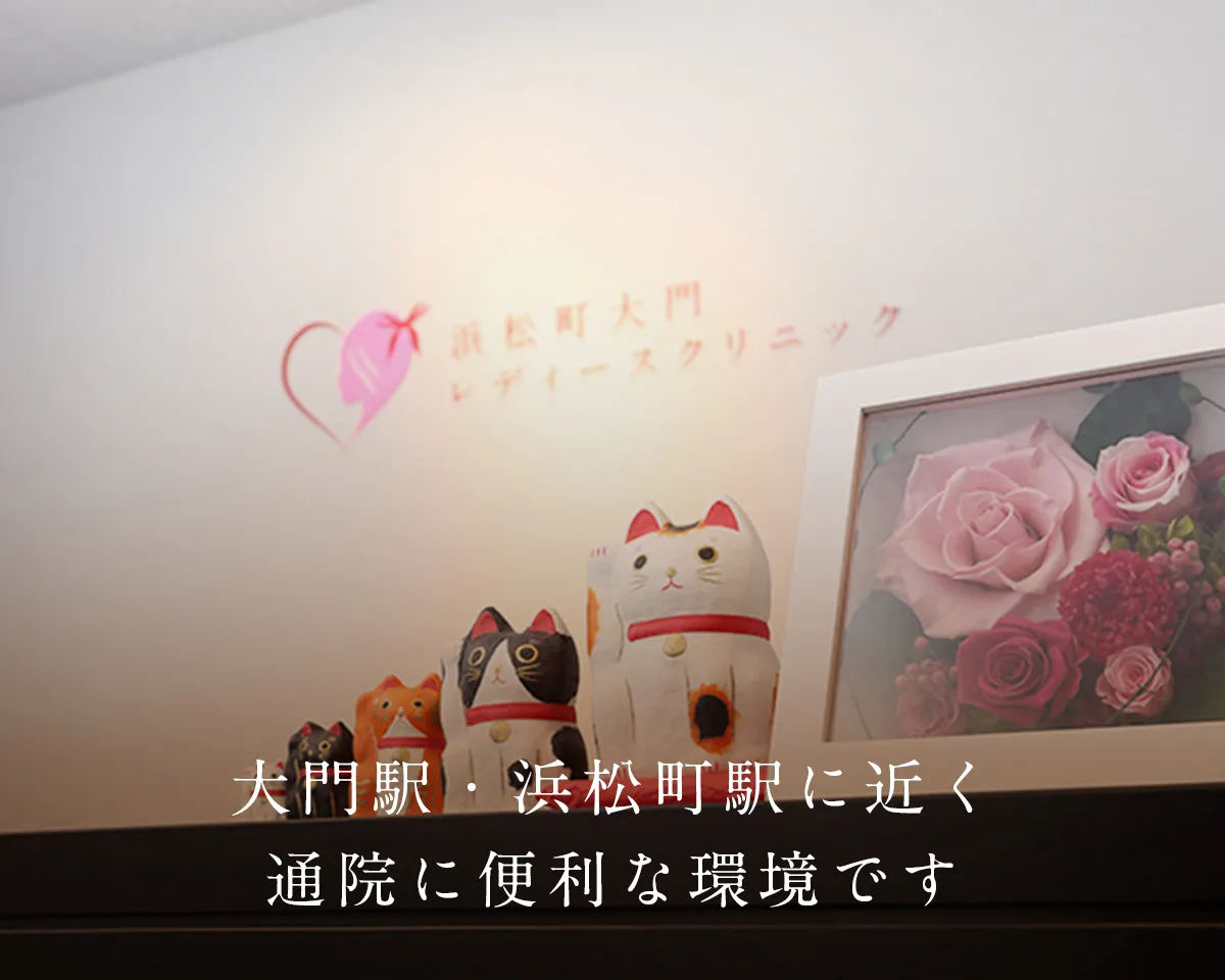大門駅・浜松町駅に近く通院に便利な環境です